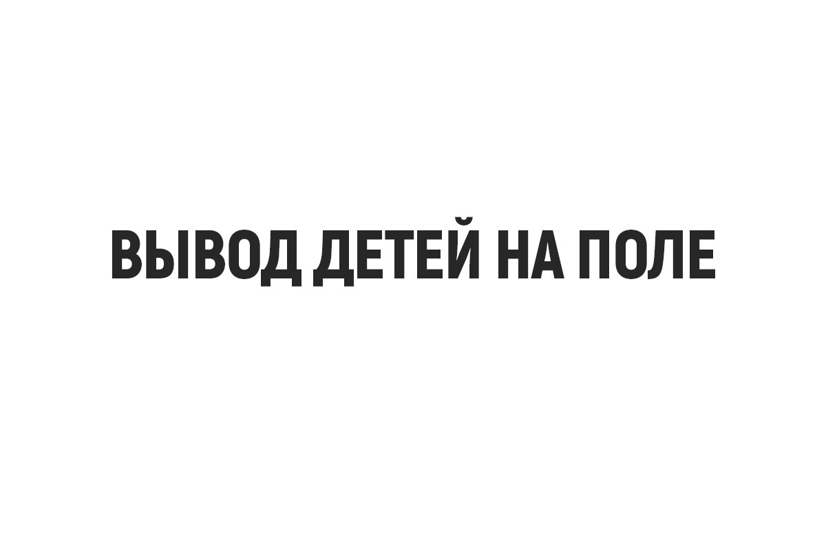 Все спортивные вопросы в «Что? Где? Когда?»-2023. Справитесь? | Sports.ru |  Дзен